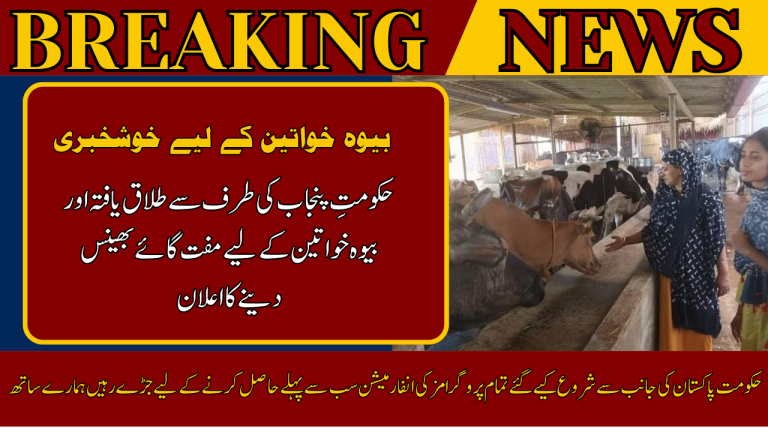 Distribution of Free Cows