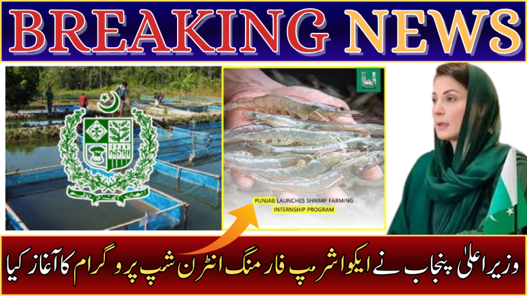 Aqua Shrimp Farming Internship Program