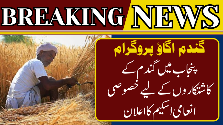 Reward Scheme for Wheat farmers