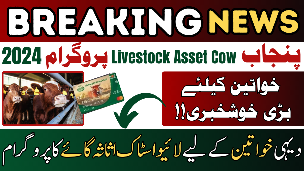 Livestock Asset Cow Program