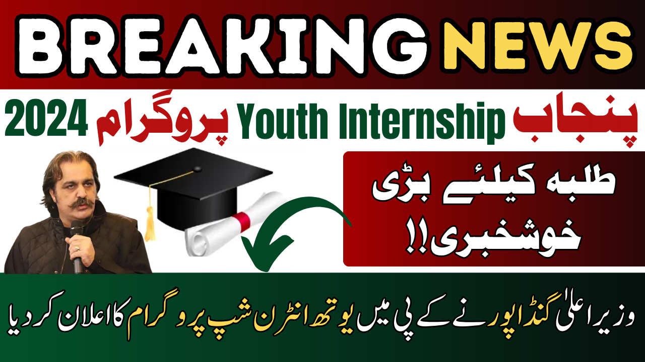 Youth Internship Program in KP