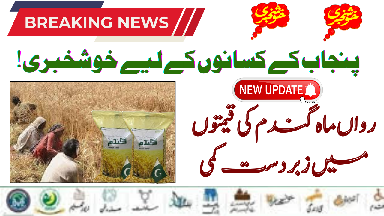 Reduction In Wheat Seeds Prices