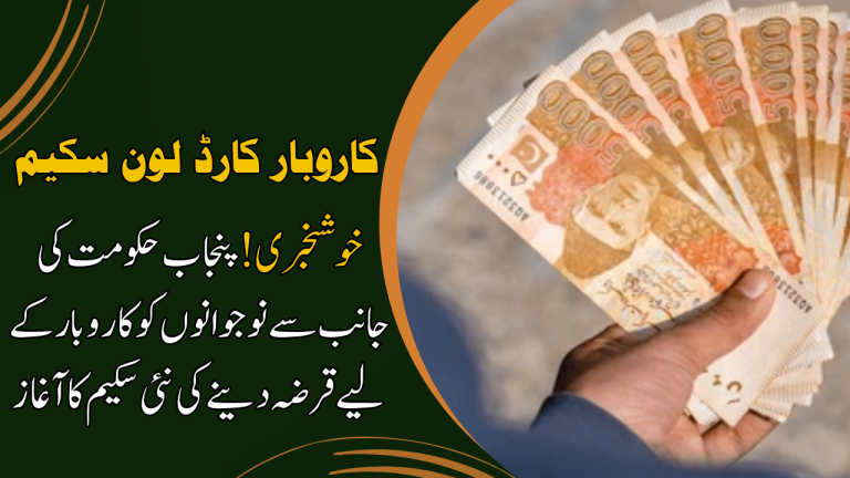 Karobar Card Announcement by Maryam Nawaz