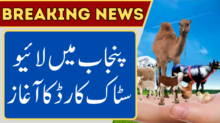 Livestock Card Services Start in Punjab
