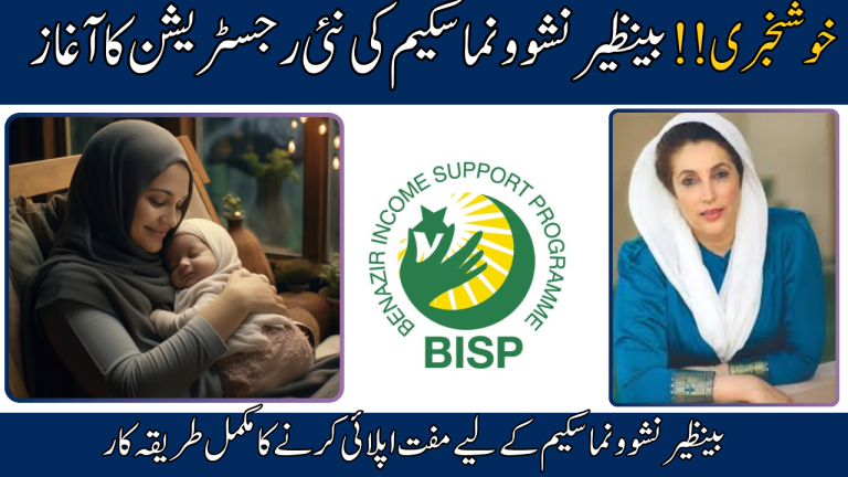 Benazir Nashonuma Scheme Online Registration