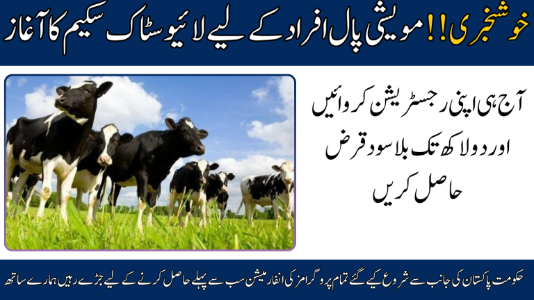Chief Minister Punjab Livestock Scheme